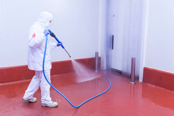 Best Graffiti Removal Services in Ferdand, IN