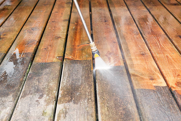 Best Roof Cleaning and Mildew Removal in Ferdand, IN